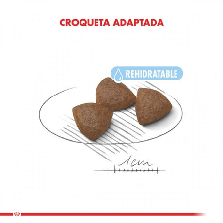 Royal Canin Medium Starter 3kg