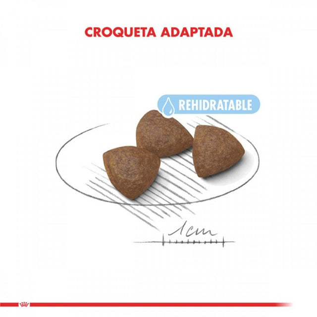Royal Canin Medium Starter 3kg
