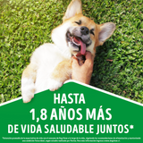  Purina Dog Chow Adultos 7+ Longevidad 8kg