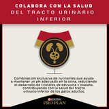 Alimento para Gatos PURINA PRO PLAN Adult 3kg