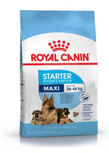 Royal Canin Maxi Starter 10kg