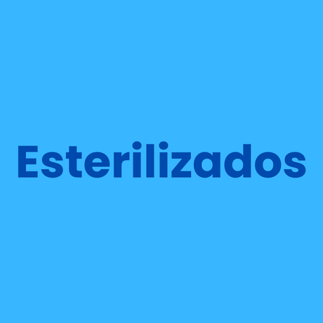 Alimentación Medicada para Perros 