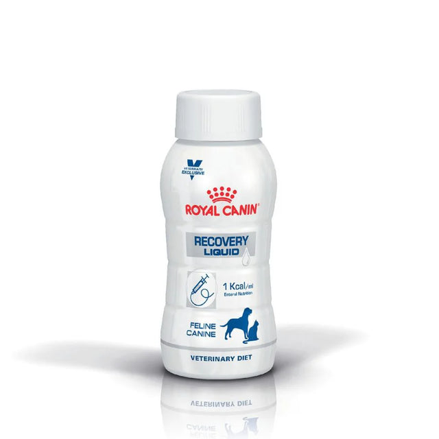  Royal Canin Recovery Liquid 3x200 ml — Nutrición Líquida Completa para Recuperación