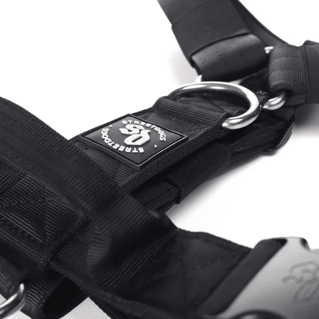  StreetDogs Arnés Strap Black