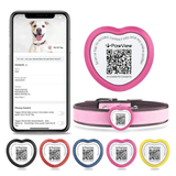  StreetDogs Pet ID TAG4