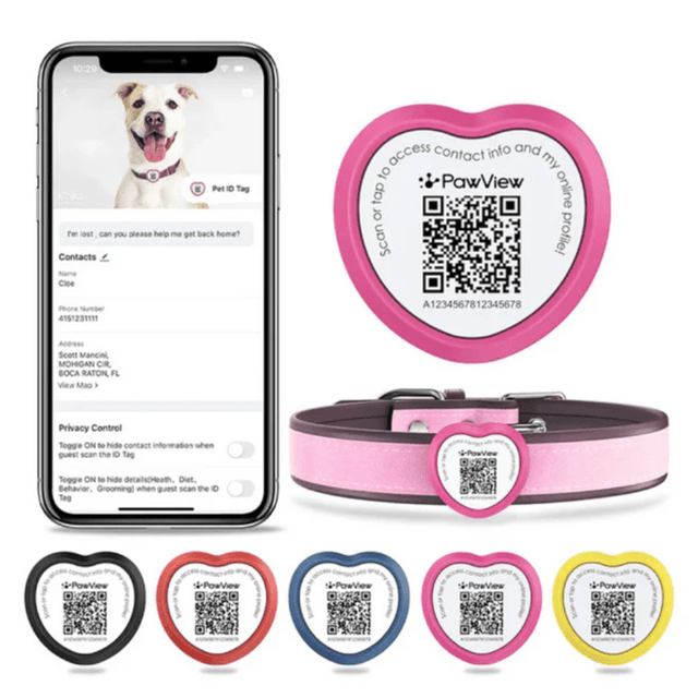  StreetDogs Pet ID TAG4