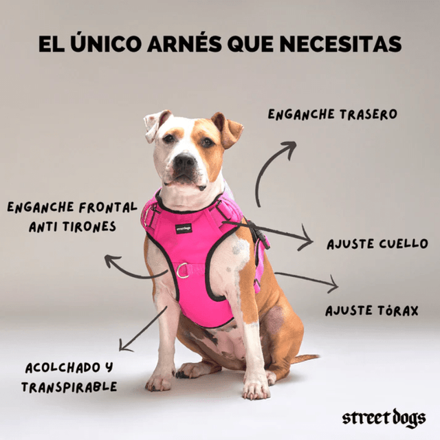  StreetDogs Arnés Comfort Pink