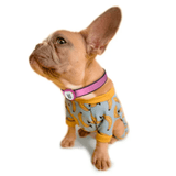  StreetDogs Pet ID TAG4