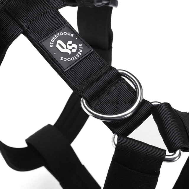  StreetDogs Arnés Strap Black