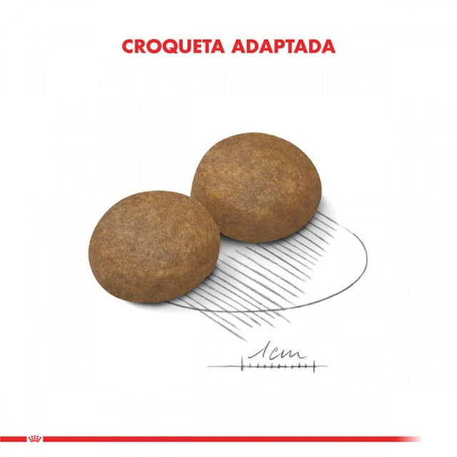 Royal Canin Maxi adulto 5+ 12Kg