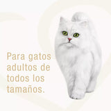 Alimento Fancy Feast Casserole Atun Salmon 85G Pack 15 Unidades
