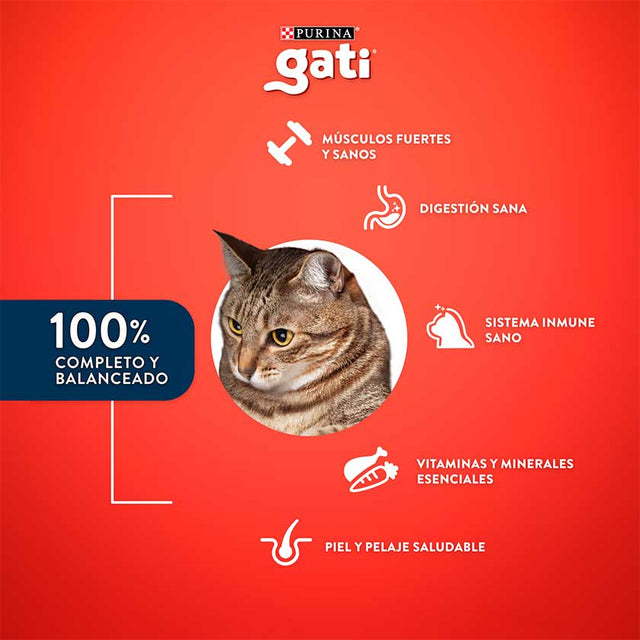Alimento Gati Sabor Pescado Y Salmon 1Kg