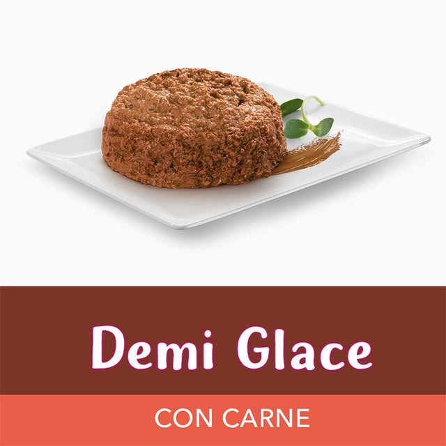 Alimento Humedo Fancy Feast Demi Glace Carne 85G