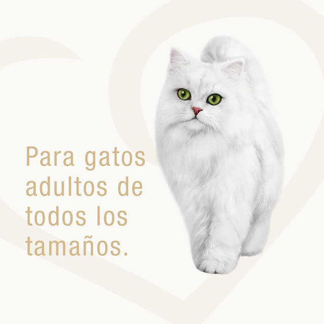Alimento Humedo Fancy Feast Goulash Atun 85G