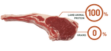 Bravery Dog Iberian Lamb Adulto Small 7Kg