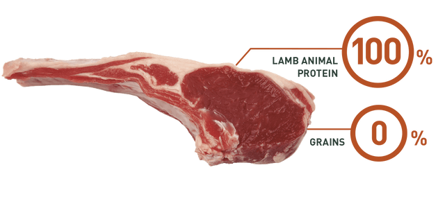 Bravery Dog Iberian Lamb Adulto Small 7Kg