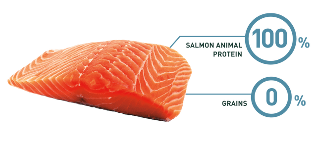 Bravery Salmon Adult Large Medium 12Kg