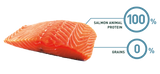 Bravery Salmon Mini Adult 2Kg