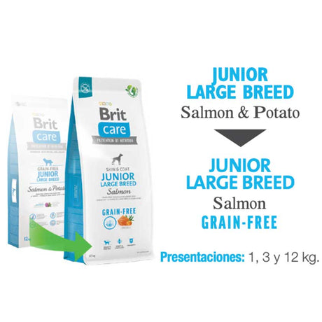 Brit Care Dog Junior Large Breed Salmon 12Kg