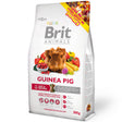 Brit Animals Guinea Pig Cuy 300Gr
