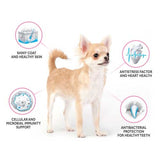 Brit Care Adult Mini Yorkshire 7Kg