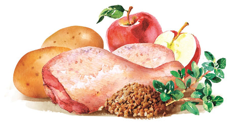 Brit Fresh Chicken With Potato Adult Great Life 12Kg