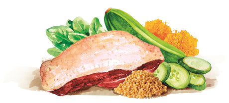 Brit Fresh Duck With Millet Adult Active Run And Work 2 5Kg
