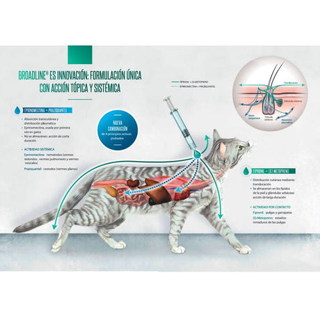 Pipetas Antipulgas para Gatos Broadline Spot On Pipeta Gato 0 6 2 5Kg X 1 Unid