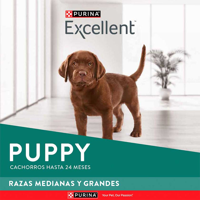 Purina Excellent® Cachorros Razas Medianas Y Grandes 15Kg
