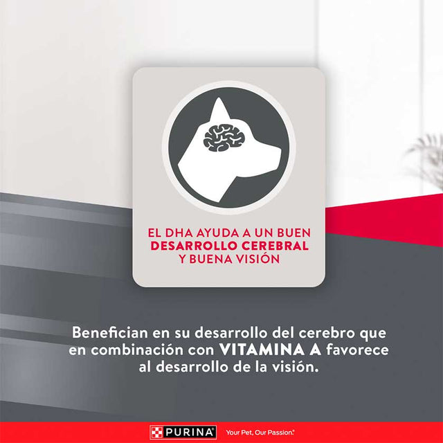 Purina Excellent® Cachorros Razas Medianas Y Grandes 15Kg