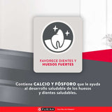 Purina Excellent® Cachorros Razas Medianas Y Grandes 15Kg
