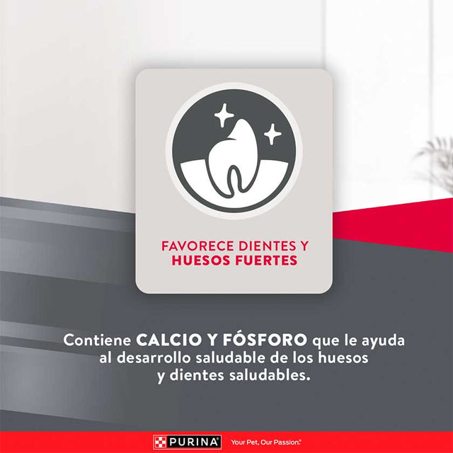 Purina Excellent® Cachorros Razas Medianas Y Grandes 15Kg