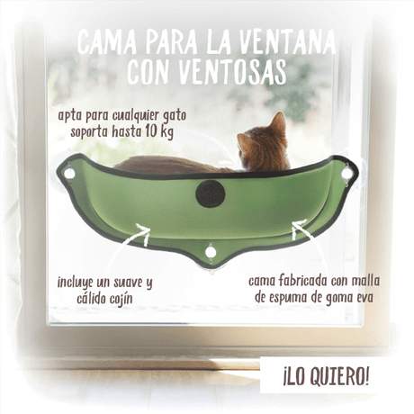 MB Cama De Fieltro Para Ventanas