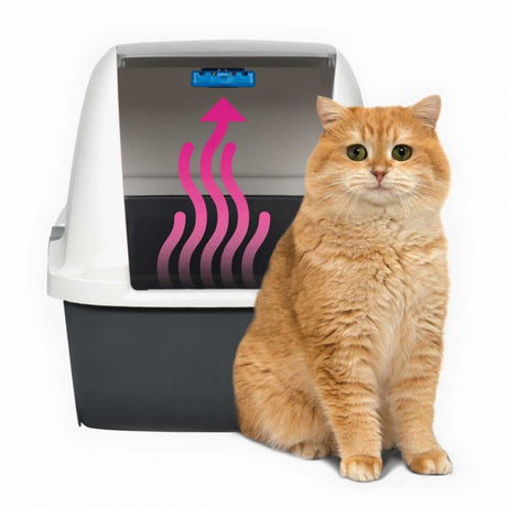 Cat It Magic Blue Cartucho