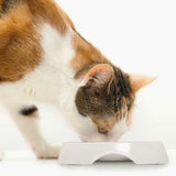 Cat It Plato Acero Inoxidable Con Borde Bajo Color Blanco