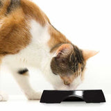Cat It Plato Doble Acero Inoxidable Con Borde Bajo Color Negro