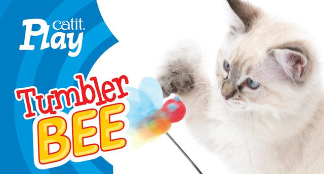  Cat It Play Tumbler Bee
