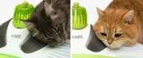  Cat It Senses 2 0 Wellness Center