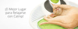  Cat It Senses 2 0 Wellness Center