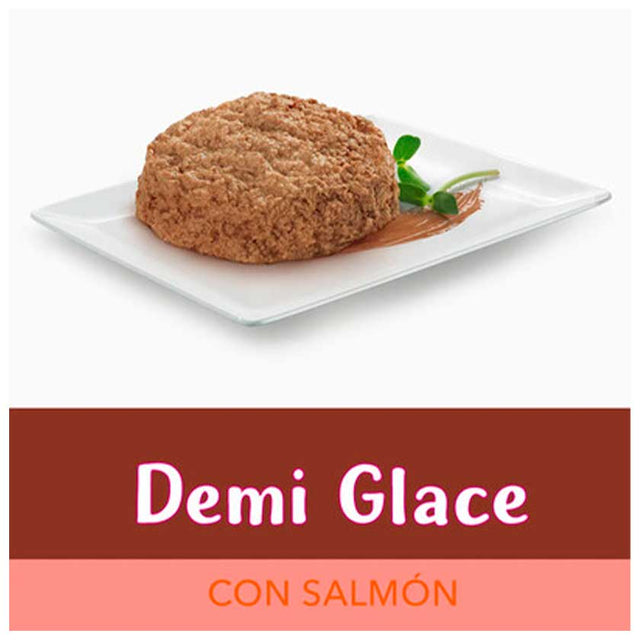 Alimento Humedo Fancy Feast Demi Glace Salmon 85G