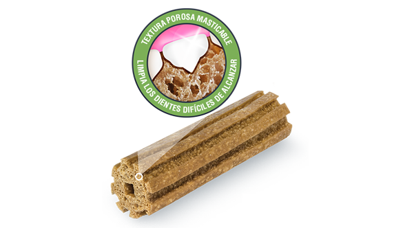 Dentalife Razas Medianas 119Gr