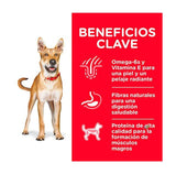Hills Science Diet Adult Chicken Barley Recipe Dog Food 15 Kg