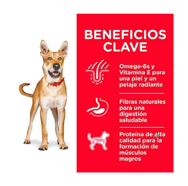 Hills Science Diet Adult Chicken Barley Recipe Dog Food 15 Kg