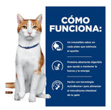 Hills Gato Adulto Prescription Diet Onc Care 3 2 Kg