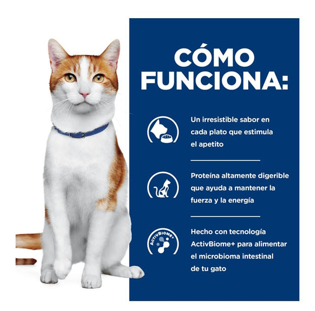 Hills Gato Adulto Prescription Diet Onc Care 3 2 Kg