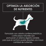  Purina Pro Plan Puppy Large Con Optistar 15Kg