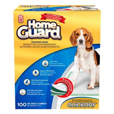 Dog It Carpeta Orientadora Medium 100 Unidades