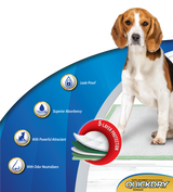 Dog It Carpeta Orientadora Small 30 Unidades