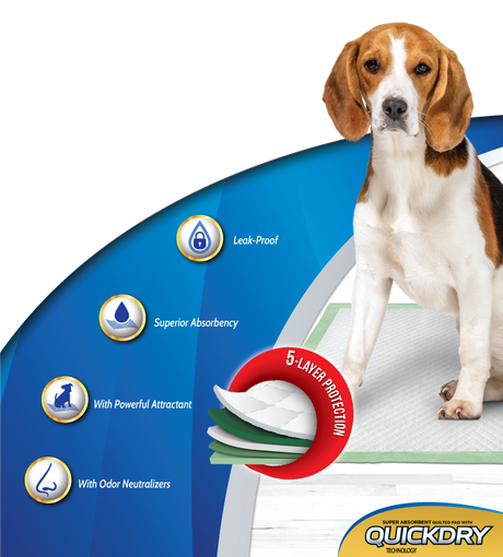 Dog It Carpeta Orientadora Xlarge 20 Unidades