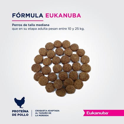 Alimentos para Perros Senior Eukanuba Senior 7 Medium Breed 15Kg